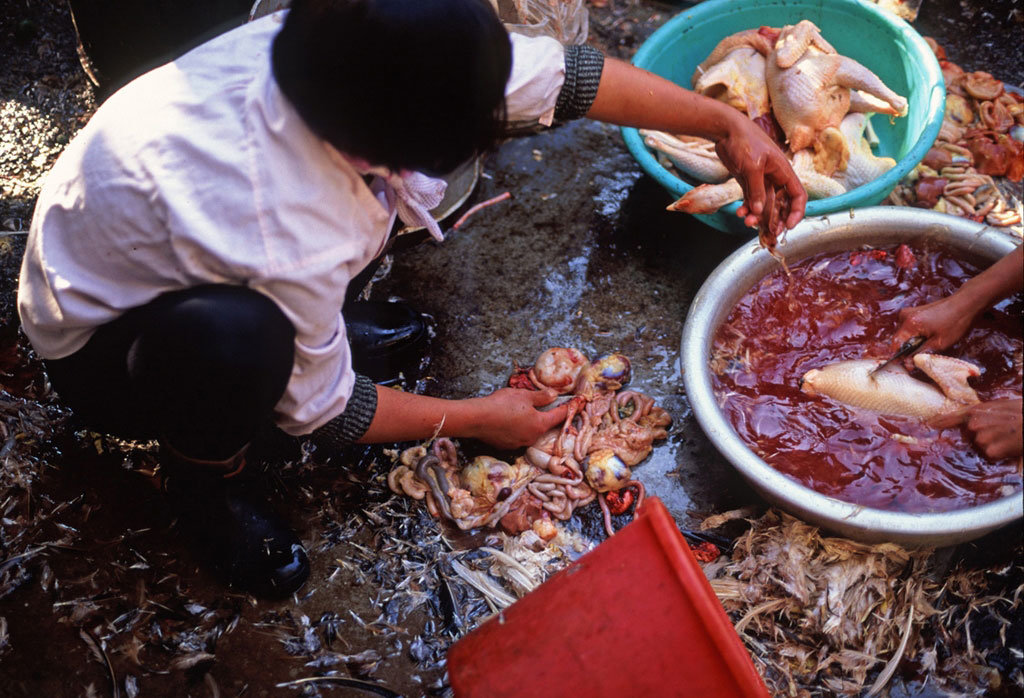 Allarme Cibi Tossici, dalle Nocciole Turche al Pesce Vietnamita. Ecco la Blacklist dei più Pericolosi
