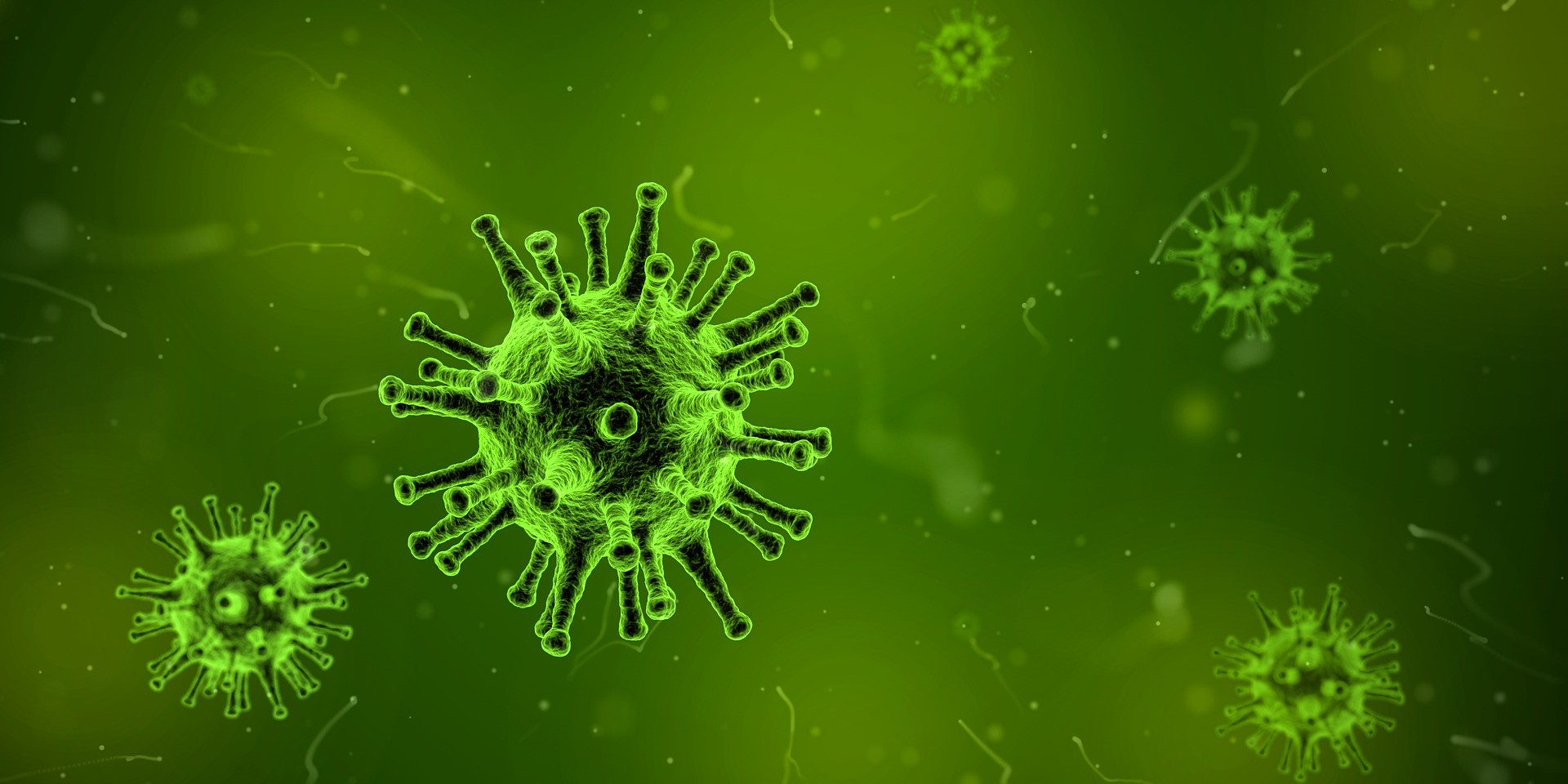 Virus e Batteri Sempre Più Resistenti. I Nostri Consigli per Potenziare e Pulire a Fondo il Proprio Corpo