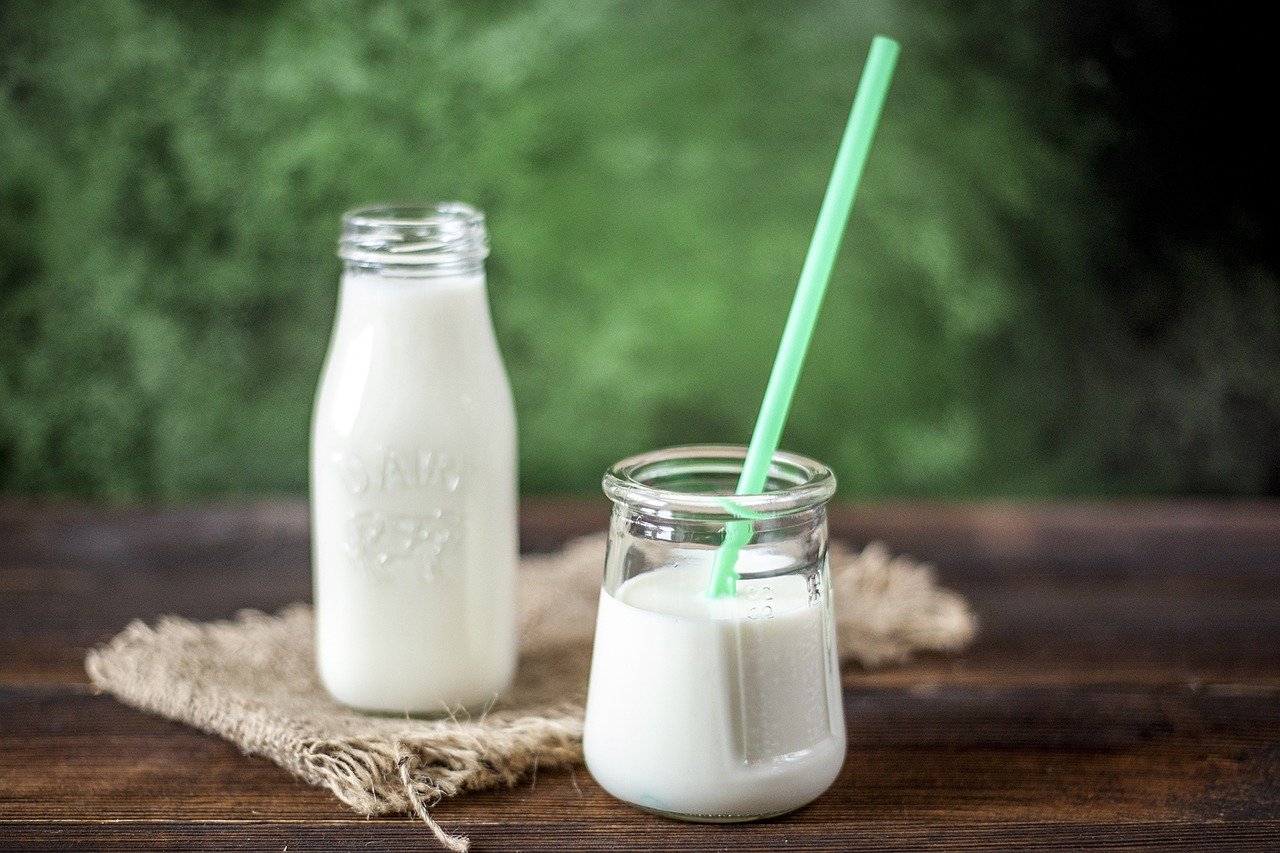 Fermenti lattici e yogurt: come scegliere il prodotto giusto per le nostre esigenze